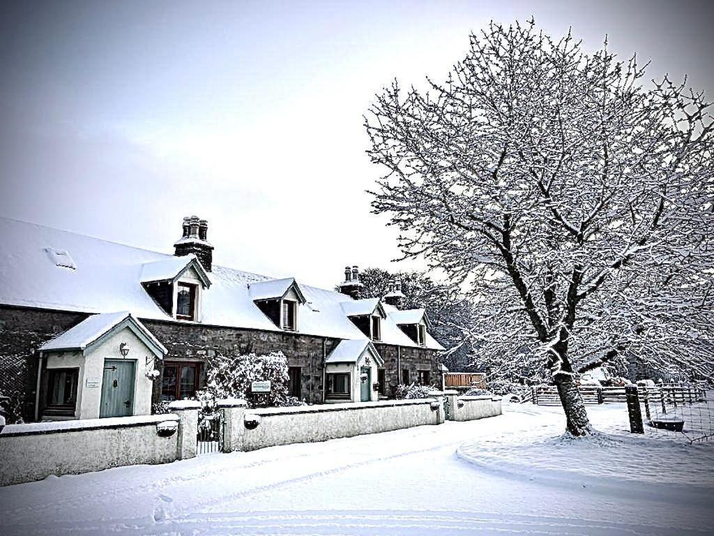 Rosemount Cottage Two - Highland Cottage Garve Eksteriør bilde